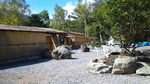 100927_113028.jpg