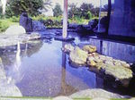 200802161754000fujino.jpg