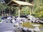 200802161817000ikoi.jpg