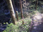 河原に行く道1.jpg