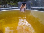 壷湯2_151346.jpg