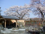 DSCF16351.jpg