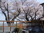 DSCF16361丘の湯.jpg