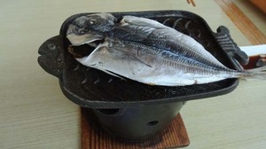 DSC_4992あじ.jpg
