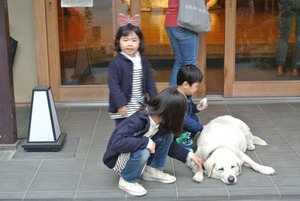 子供に人気のマスコット犬.jpg