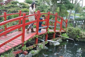 池にかかる橋.jpg