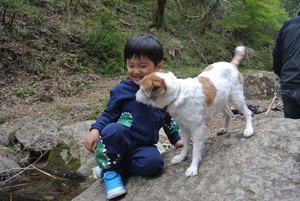 犬もいます.jpg