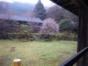 窓からの眺め00348.jpg