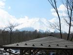bnfj_00013801fuji.jpg